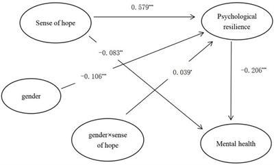 Sense of hope affects secondary school students’ mental health: A moderated mediation model